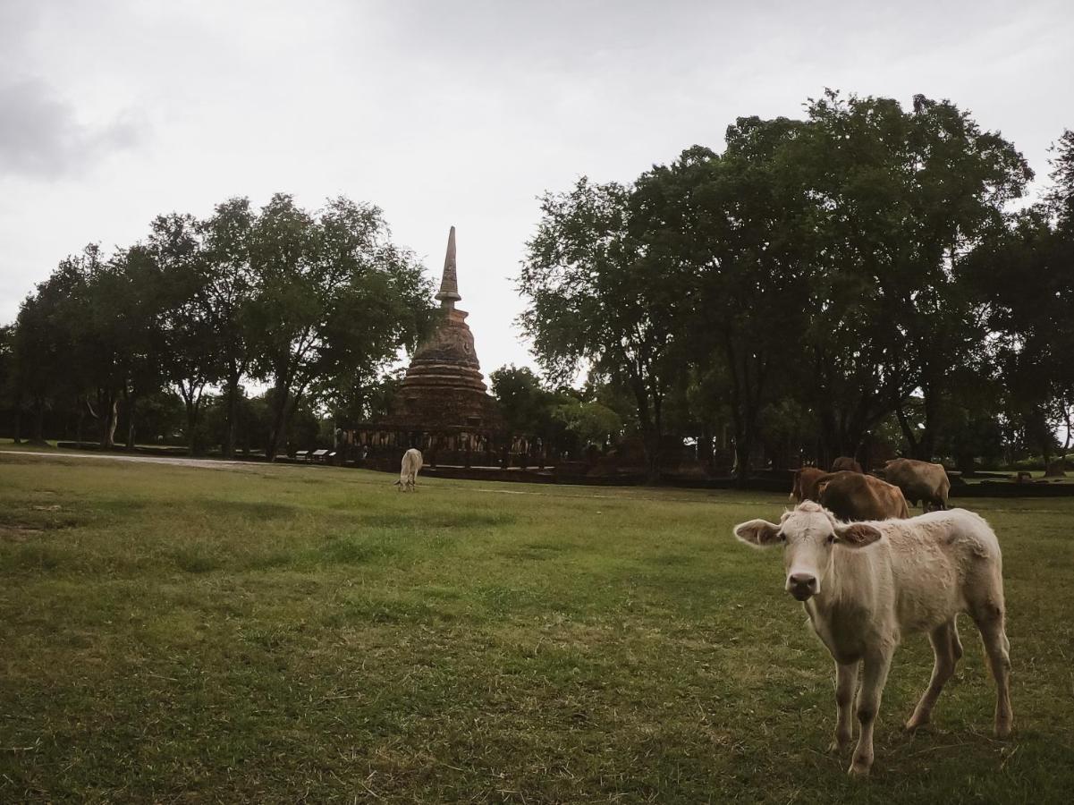 Naracha Resort Mueang Kao Εξωτερικό φωτογραφία